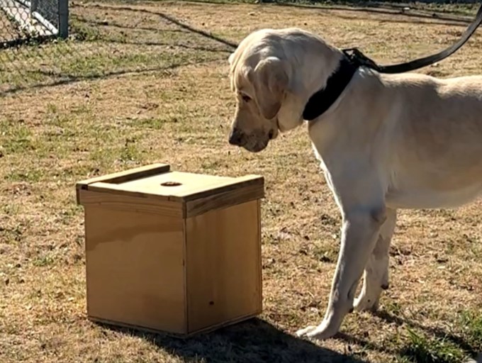 Image of Jimmie, single purpose